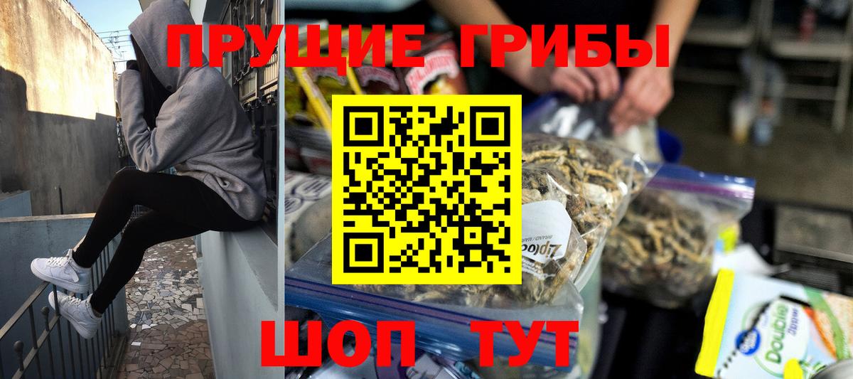Всеволожск  Псилоцибиновые грибы Cubensis  магазин  наркотиков  Вход с VPN 