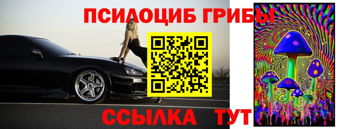 Галлюциногенные грибы Psilocybe Всеволожск